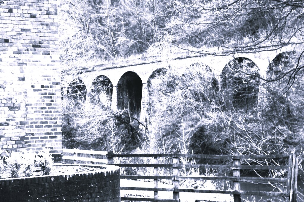 Viaduct  by beryl