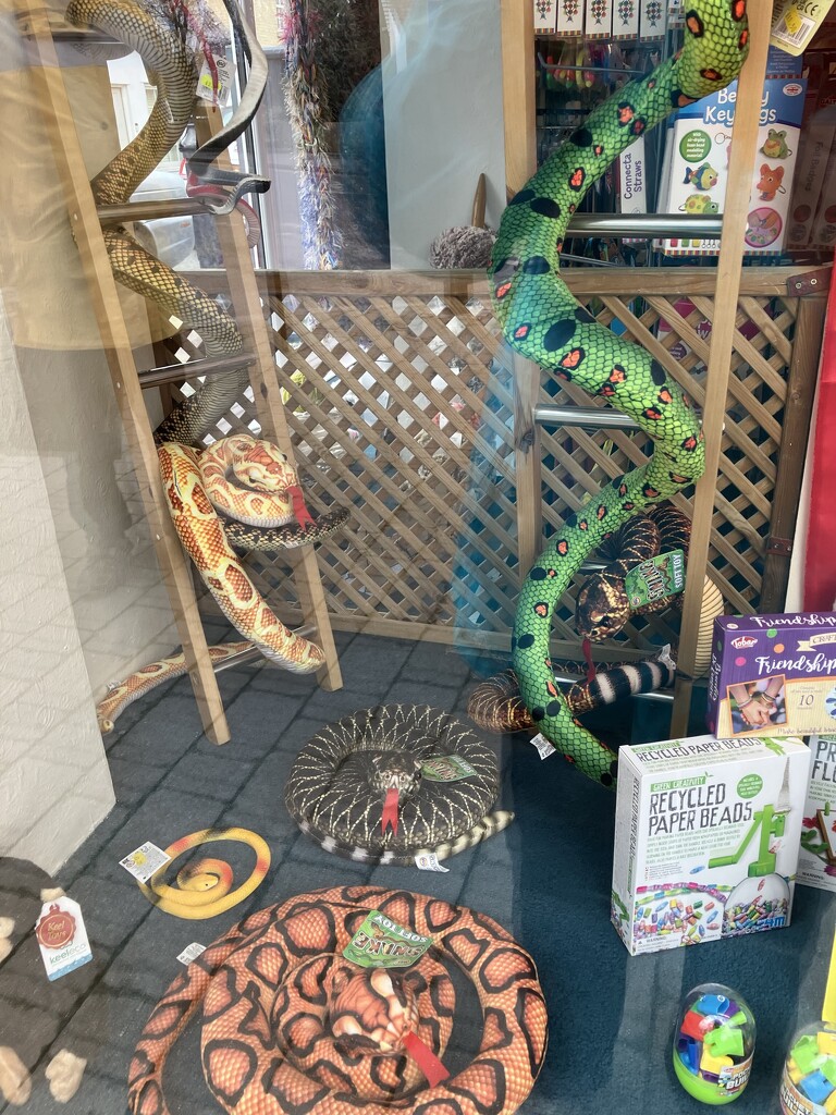 Local Reptile Shop! by foxes37