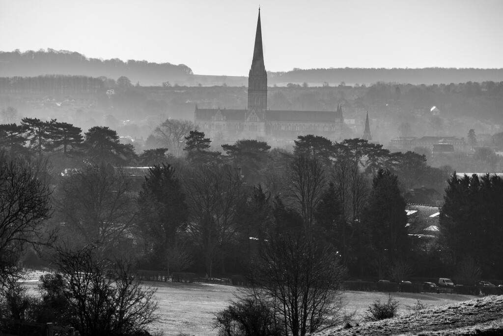 Salisbury Cathedral (Again!) by susie1205