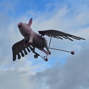 1st Feb 2024 - Pigs Might Fly