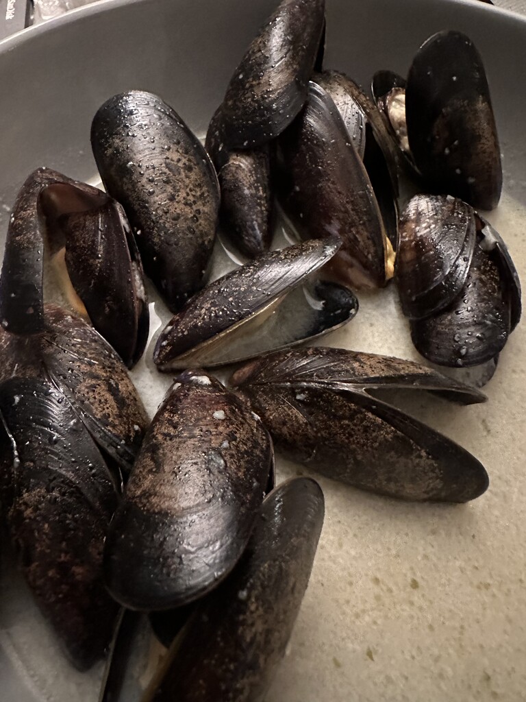 Garlic Mussels  by wincho84