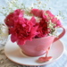 tea cup love by lisab514
