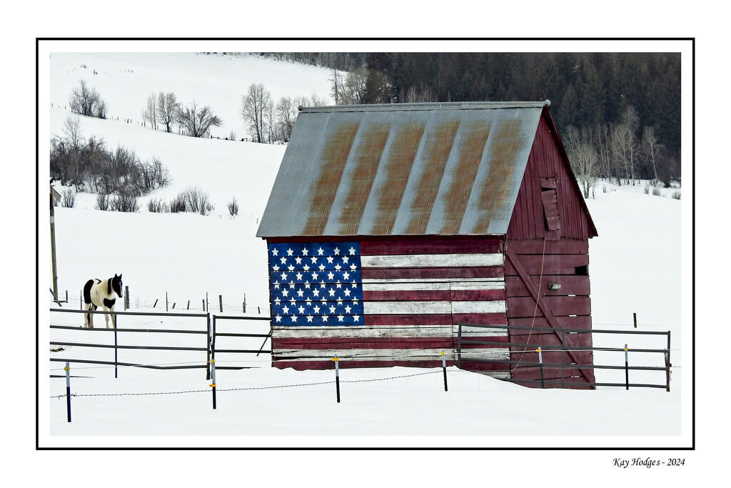 Small Patriotic Barn by kbird61