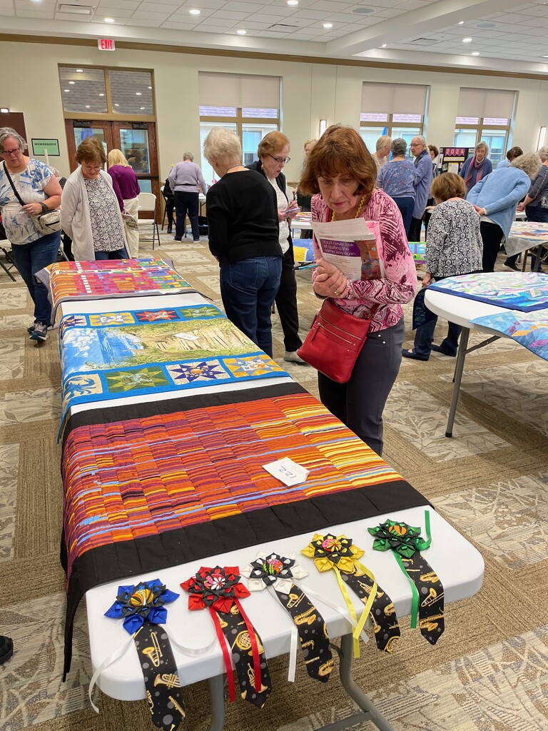 Inspecting the guild challenge quilts by margonaut