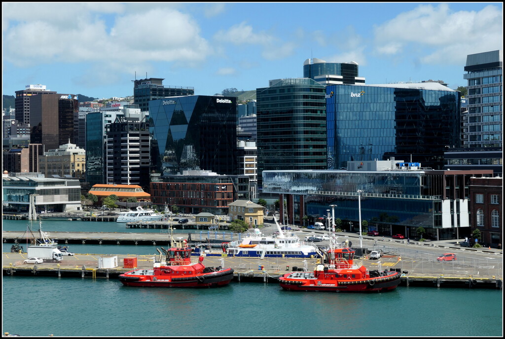 Wellington by dide