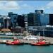 Wellington by dide