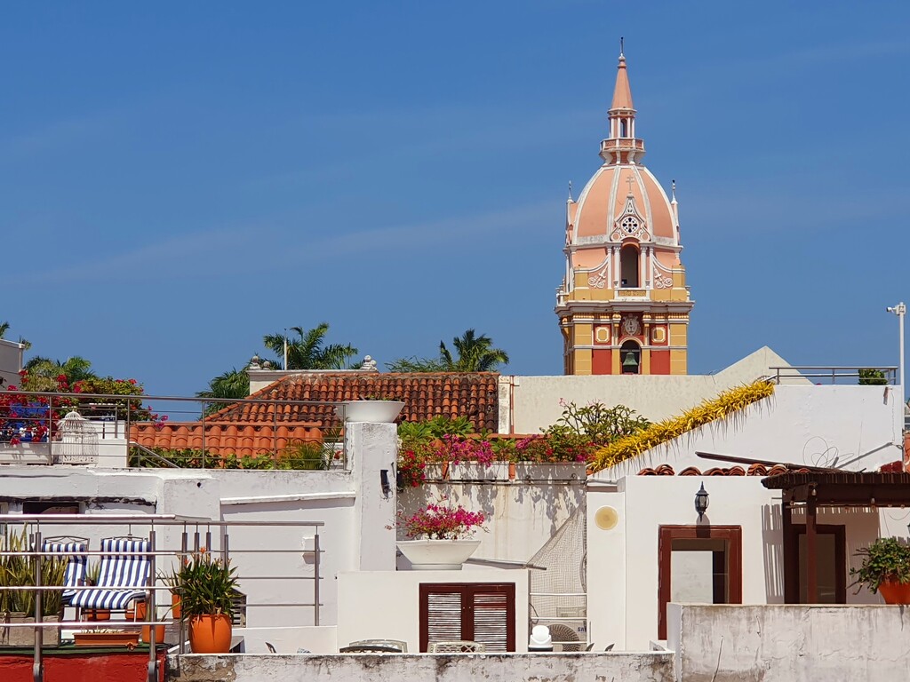 Cathedral of Cartagena by will_wooderson