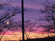 3rd Feb 2024 - Sunset
