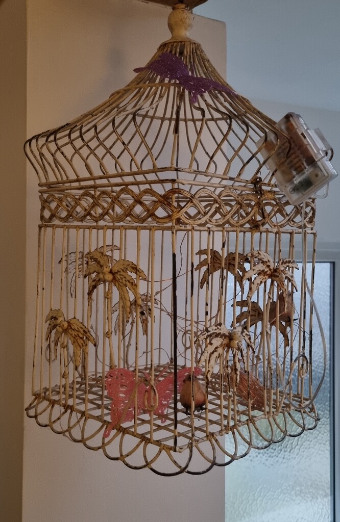 The Bird Cage by megpicatilly