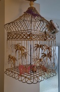 4th Feb 2024 - The Bird Cage