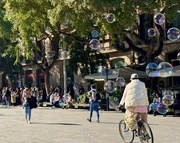 4th Feb 2024 - Bubbles in Barcelona 