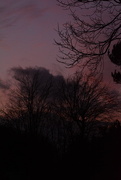 4th Feb 2024 - From the garden tonight...........