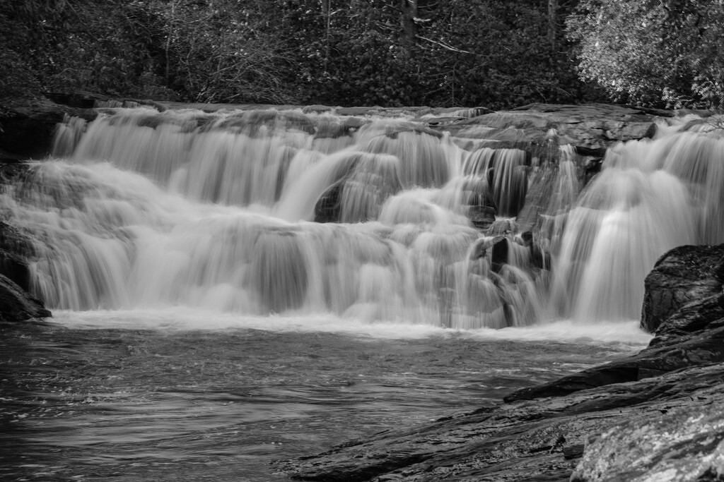 Water's Creek Falls by k9photo