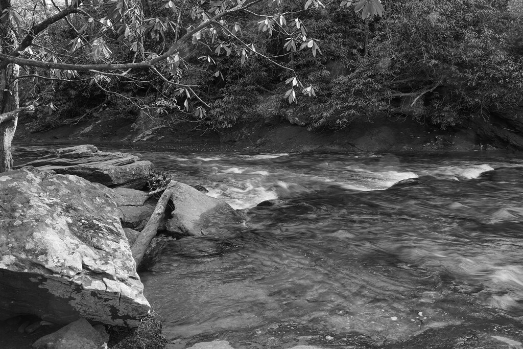 Water's Creek by k9photo