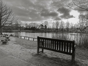 3rd Feb 2024 - A lovely place to sit