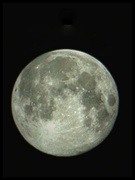 26th Jan 2024 - Morning moon