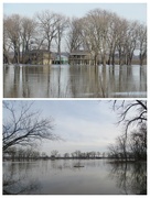 4th Feb 2024 - Illinois River flooding 