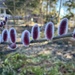 i’ve never seen pussy willows like this before by wiesnerbeth