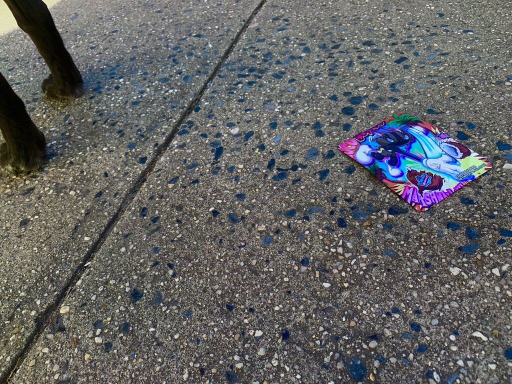Colorful Debris by blackmutts