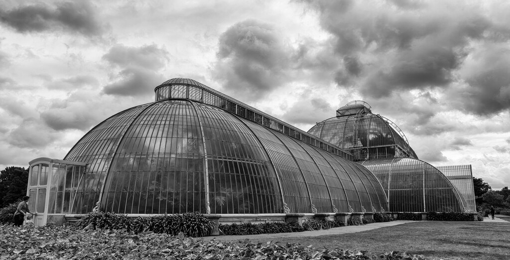 Greenhouse  by johnnyfrs