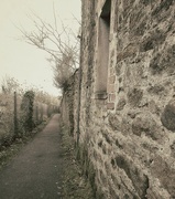 5th Feb 2024 - Cornish wall.........