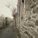 Cornish wall......... by cutekitty