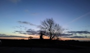 5th Feb 2024 - Early morning Essex 