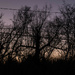 Sunset through the wires and trees by darchibald
