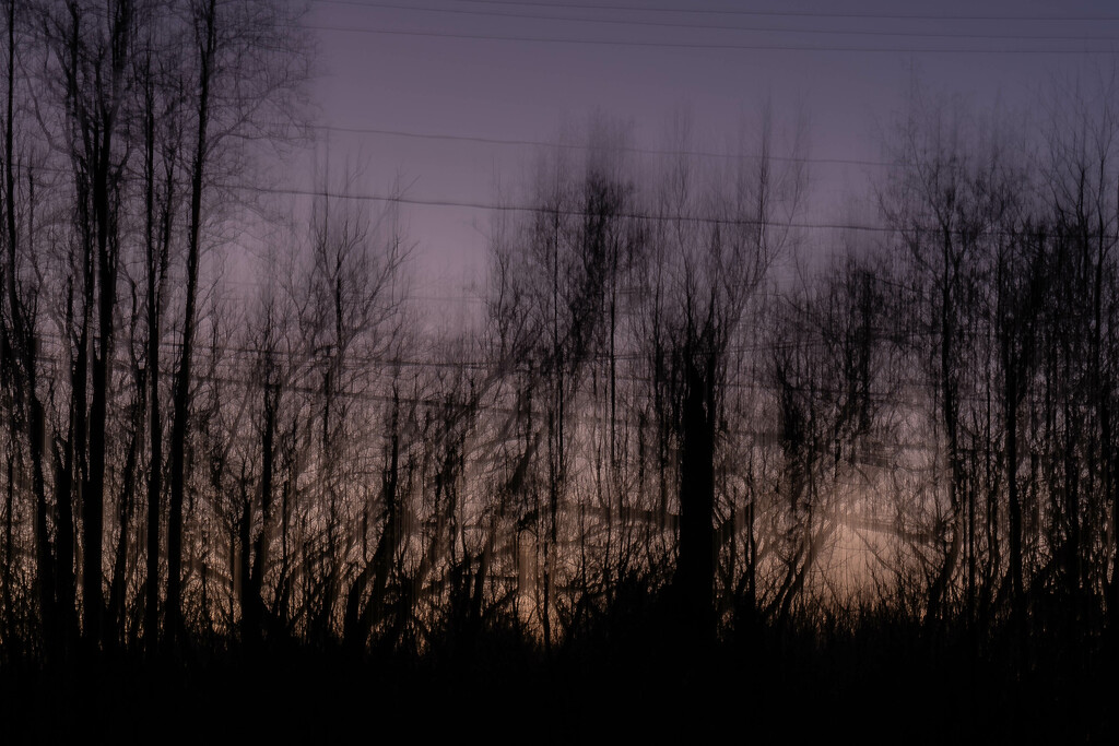 Sunset through the wires and trees-2 by darchibald