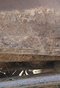 5th Feb 2024 - Old rusty junk in a trailer