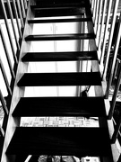6th Feb 2024 - Staircase
