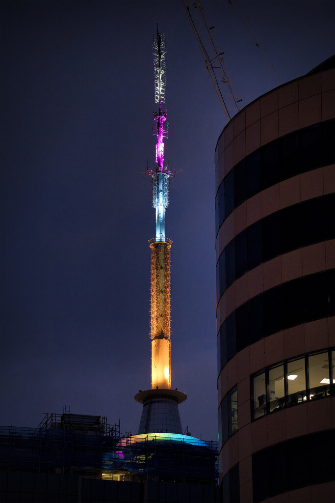 Auckland Sky Tower by dkbarnett