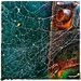 A Tangled Web by aq21