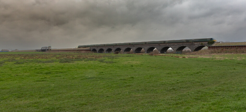 Langport Viaduct by tonus
