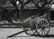 6th Feb 2024 - Old Farm Wagon