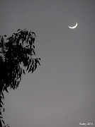3rd Feb 2011 - Moon