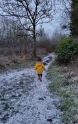 17th Jan 2023 - A dusting of snow