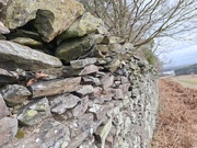 6th Feb 2024 - The Long Wall