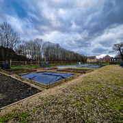 5th Feb 2024 - The allotment in February