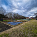 The allotment in February by andyharrisonphotos