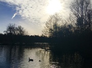 4th Feb 2024 - Wyndley Pool, Sutton Park, on a beautiful afternoon for walking..