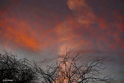 6th Feb 2024 - Clouds refelection the low sun
