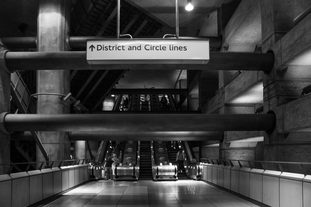 District and Circle lines this way by brigette