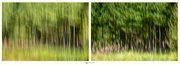 7th Feb 2024 - Same View, Different ICM