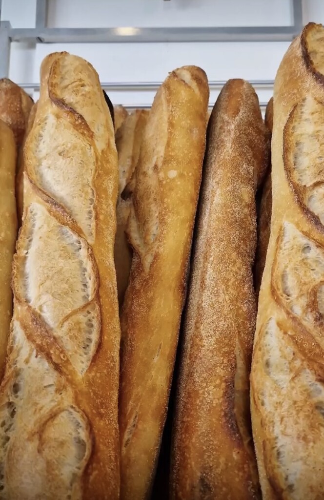 How many tradition Baguettes do you make for each day?  by beverley365
