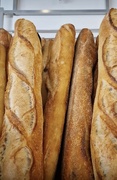 7th Feb 2024 - How many tradition Baguettes do you make for each day? 
