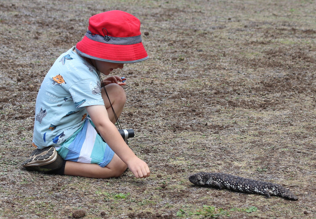 My little explorer by gilbertwood