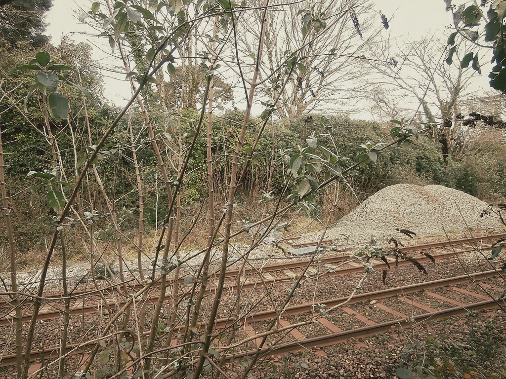 The railway line........ by cutekitty