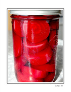 6th Feb 2024 - Red Bottled Beets