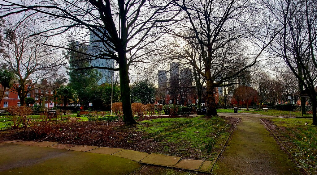 St John's Garden, Manchester by antmcg69